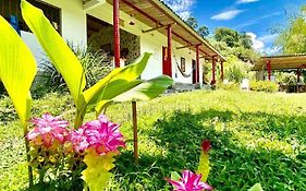 Hacienda Venecia Hostel